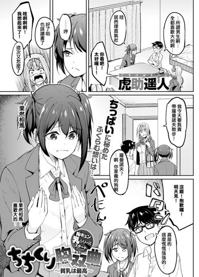 揉胸双曲线 ～平胸最好～